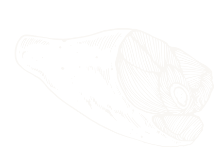 testimonial-shape-1-2 testimonial-shape-1-2