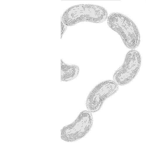 FondoProductos2a FondoProductos2a